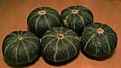 カボチャが５個