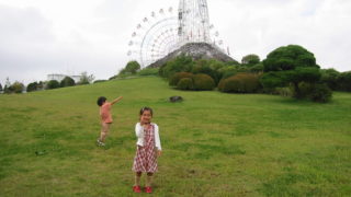 最近のユヅとヒナ