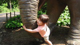 ズーラシアへ行く