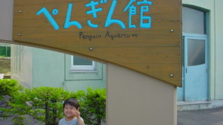 旭川の旭山動物園