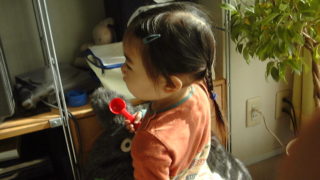 しんちゃん、たいせい君が遊びにくる