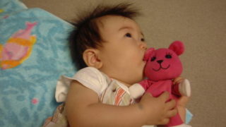 モモちゃんとサンダーバニー