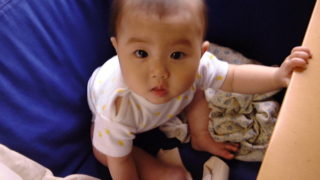 コマーシャル好き？