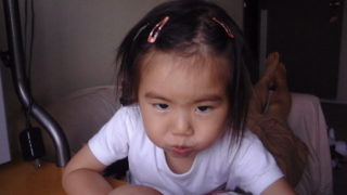 サバンナの掃除屋