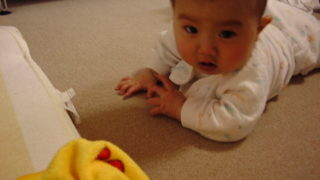 はいはいの特訓