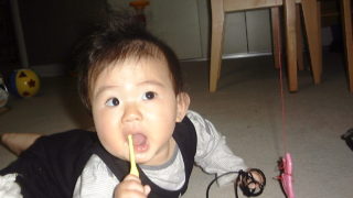 裕月の健診＆予防接種