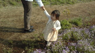 お台場へレッツゴー