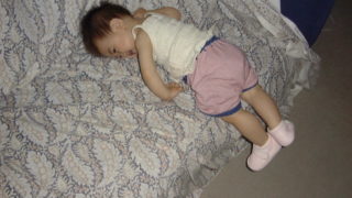 ソファやベッドに登る