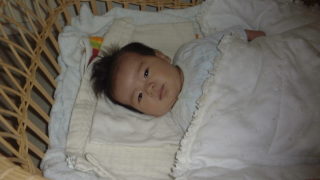 裕月、笑う・日南子、トトロにはまる