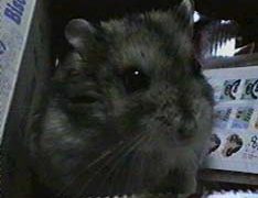 手と足がむくんでぱんぱん